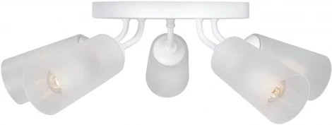 Потолочная люстра V3762-0/5PL Vitaluce (220V)