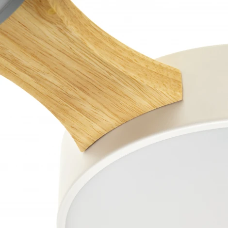 Потолочный светодиодный светильник Ritter Scandia 52070 2