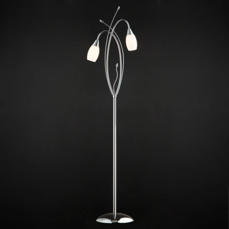 Торшер для чтения Eurosvet 22080 22080/2F хром