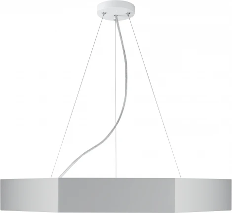 Подвесной светильник светодиодный ЭРА SPO-123-W-40K-045 (220V, на тросе, IP40)