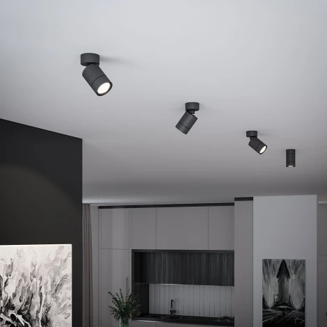 Спот Elektrostandard Niro 25013/01 GU10 черный (220V, круглые)