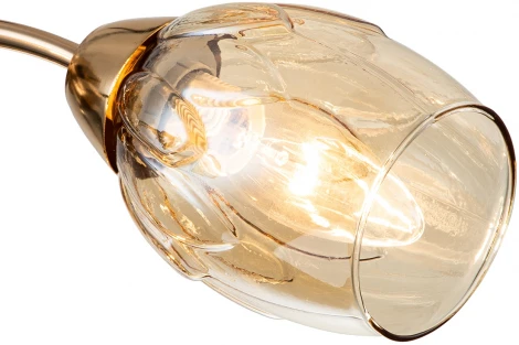 Потолочная люстра Escada Allium 663/3P