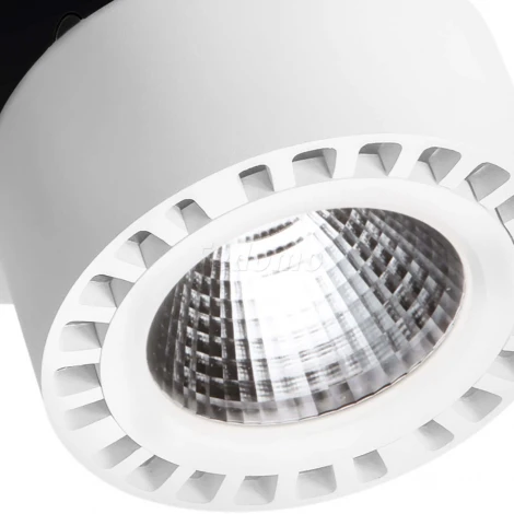 Накладной точечный светильник Lightstar Forte 381364