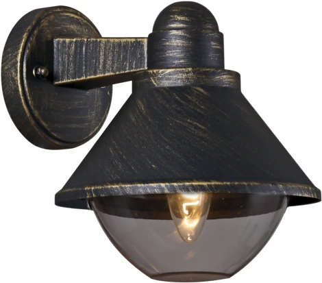 Настенный фонарь уличный Reluce 08298-9.2-001SJ BKG (220V, фонарь, IP54)