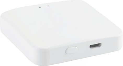 Шлюз SWG SLIM R-GW-WF-ZGBT (220V)