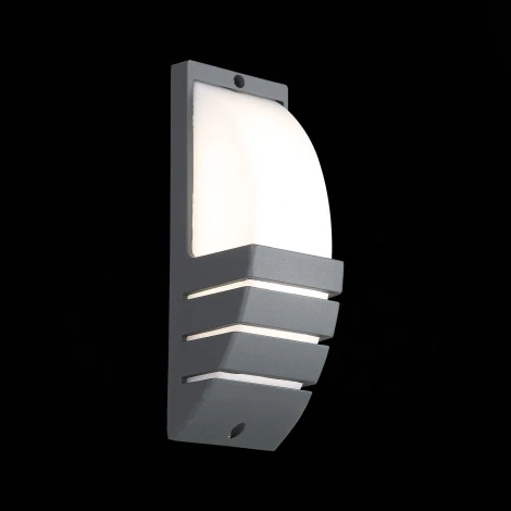 Настенный светильник уличный ST Luce Vettore SL091.701.01