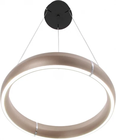 Подвесной светильник светодиодный с регулировкой цветовой температуры Mizi'en Impulse MZ31507-500 (220V, на тросе, кольцо)