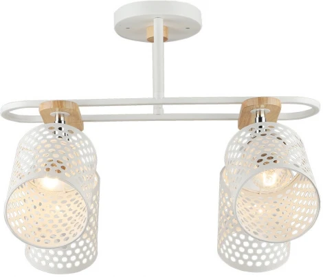 Потолочная люстра Wedo Light Sapri WD3607/4C-WT