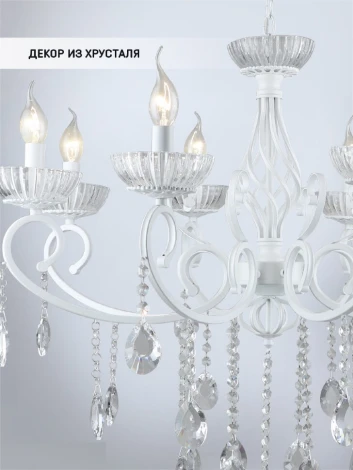 Подвесная люстра Wedo Light Rimon WD3594/8H-WT-CL