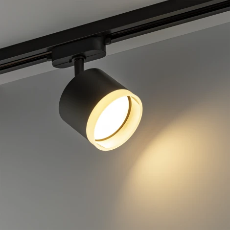 Трековый светильник однофазный 220V Ritter Artline 59862 0