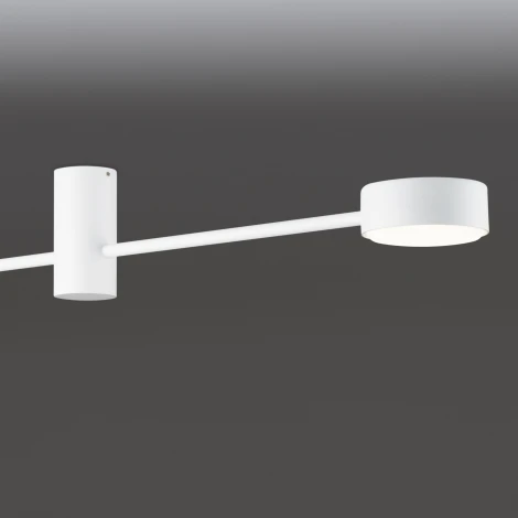 Потолочная люстра Freya Tactic FR5363CL-02W1 (220V)