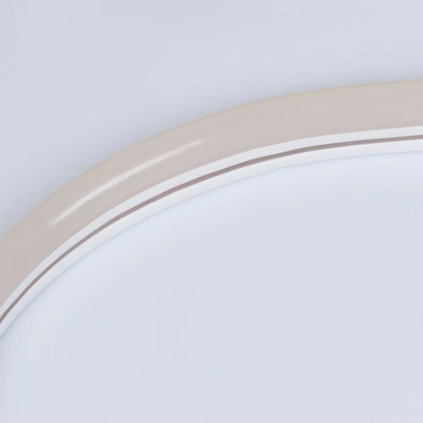 Светодиодная лента Arlight ARL-NEON 030867