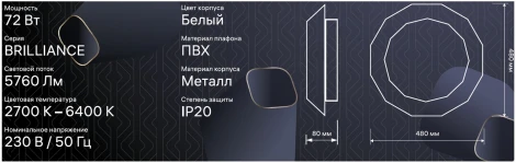 Светильник потолочный светодиодный диммируемый Ritter Brilliance 52209 6