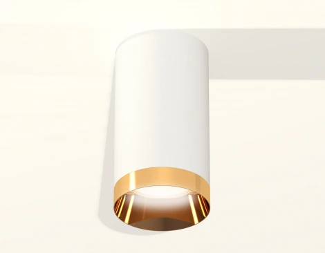 Накладной точечный светильник Ambrella Techno Spot XS6322024 (круглые)