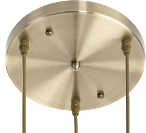 Подвесной светильник Citilux Garuda CL420033 (220V, на проводе, листья)