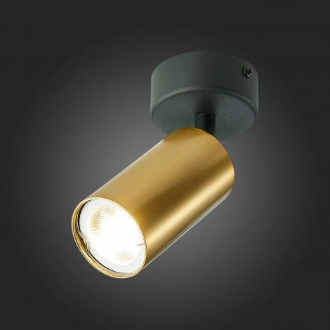 Спот ST Luce St303 ST303.202.01