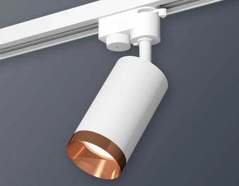 Трековый светильник Ambrella Track System XT6322065 (круглые)