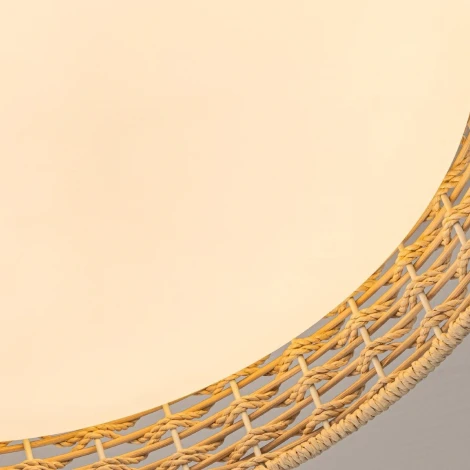 Потолочный светильник круглый LED F-Promo Conrad 4749-4C (регулировка яркости, 220V, пульт управления, круглые)