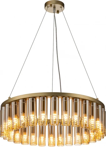 Подвесная люстра Favourite Slang 4503-30P (220V, на тросе, круглые)