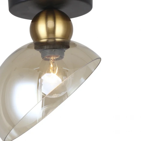 Потолочный светильник Escada Liberty 2109/1P E14*40W Black/Brass