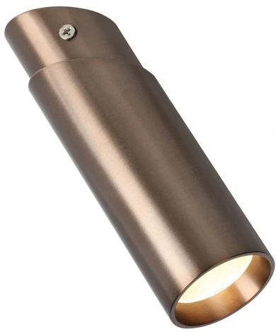 Накладной точечный светильник Favourite Insuper 2798-1U