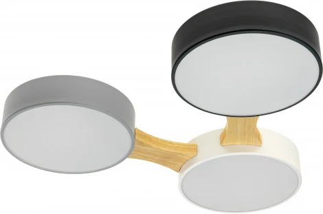 Потолочный светодиодный светильник Ritter Scandia 52070 2