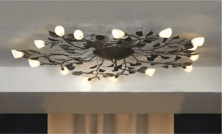Потолочная люстра Lussole Alloro LSQ-7007-15
