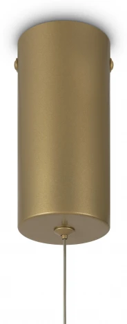 Подвесной светильник Maytoni Glint MOD072PL-L28BS3K (LED, 220V, на тросе)