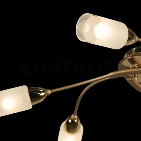 Потолочная люстра Citilux Montana CL117162