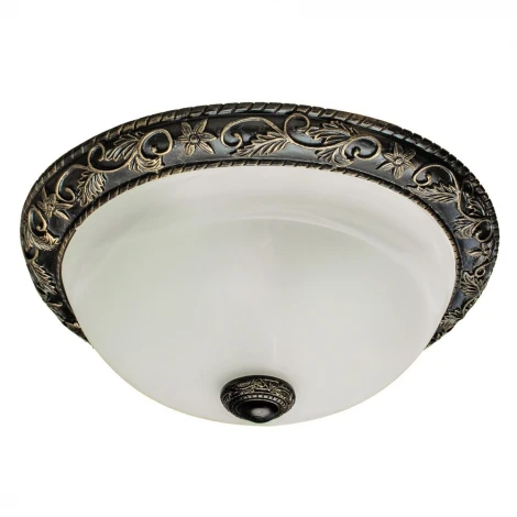 Потолочный светильник Arte Lamp Torta A7161PL-2AB