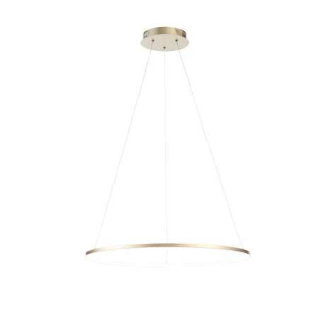 Подвесной светильник ST Luce Erto SL904.213.01