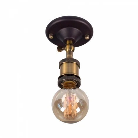 Потолочный светильник круглый Citilux Эдисон CL450500 (220V)