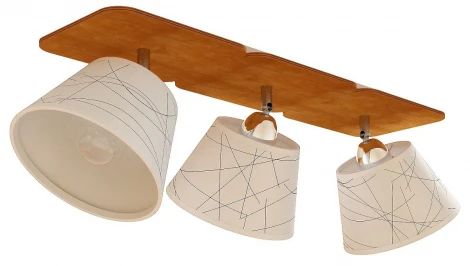 Потолочная люстра Дубравия Кайли 257-71-23