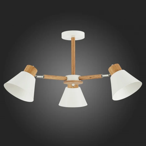 Потолочная люстра Evoluce Buve SLE103702-03 (220V)