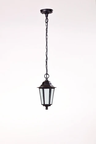 Уличный светильник подвесной Oasis Light 79805S Bl (220V, на цепи, IP44)