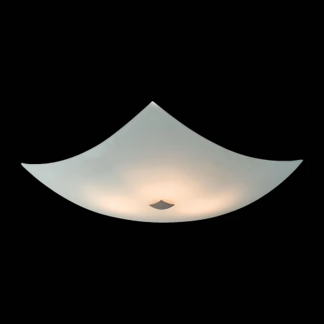 Потолочный светильник Citilux 931 CL931011