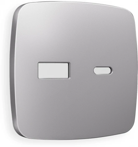 Лицевая панель Ambrella Volt OMEGA (Сталь матовый) для розетки 2USB тип A+C QUANT OP5110