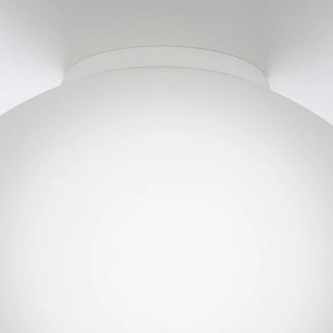 Настенно-потолочный светильник Citilux Ron CL941D25B0