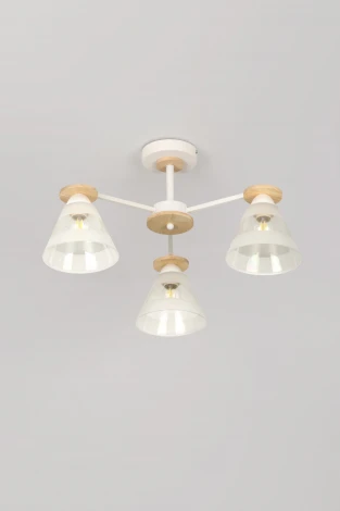 Потолочная люстра на штанге Rivoli Theothila 9177-303