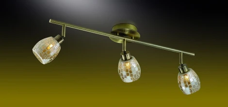 Спот Odeon Light Glosse 2166/3W