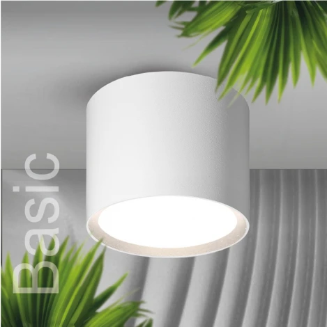 Точечный светильник накладной Wolta WSL-GX53/01W под лампу GX53 Белый BASIC