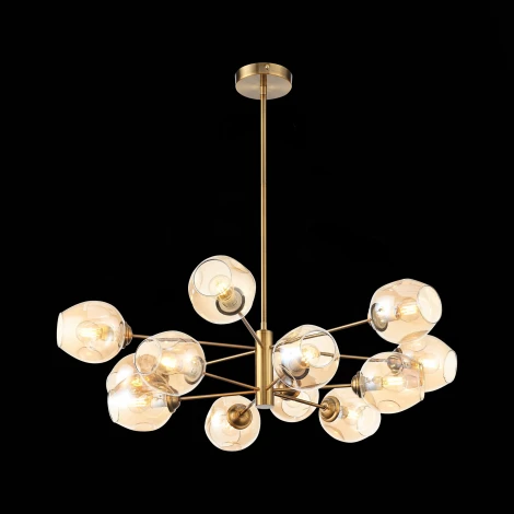 Потолочная люстра на штанге ST Luce Fovia SL1500.203.12 (220V, молекулы)