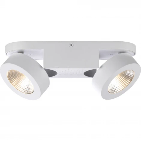 Спот Odeon Light Laconis 3538/2LC