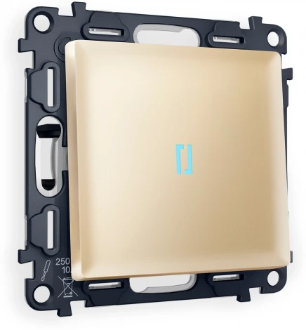 Комплект механизма Ambrella Volt 1-клавишного выключателя с подсветкой 10000K ALFA MA602020 Шампань QUANT