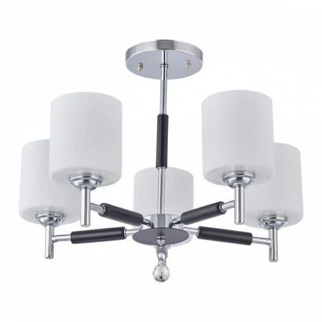 Потолочная люстра на штанге Arte Milano Napoli-2220 332220/5 CR