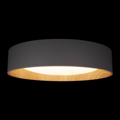 Потолочный светильник круглый светодиодный Loft It Coin 10202 Grey (220V, круглые)