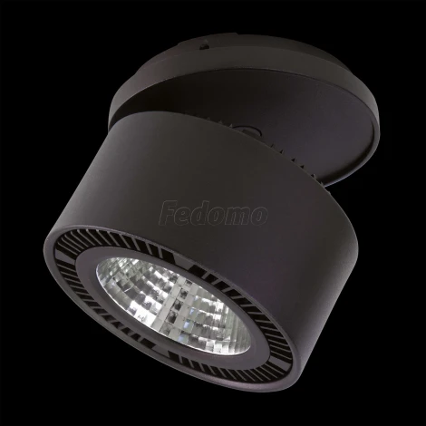 Спот карданный Lightstar FORTE INCA 213847 (LED, 220V, круглые)