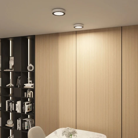 Потолочный светильник круглый Denkirs Dual DK2840-WB (LED, 220V, круглые)