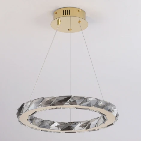 Подвесной светильник Lussole Citrus LSP-7156 (LED, 220V, на тросе, кольцо)