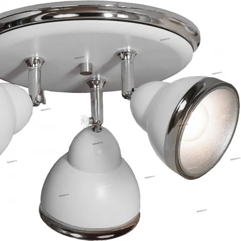Спот Lussole Loft LSN LSN-6211-03